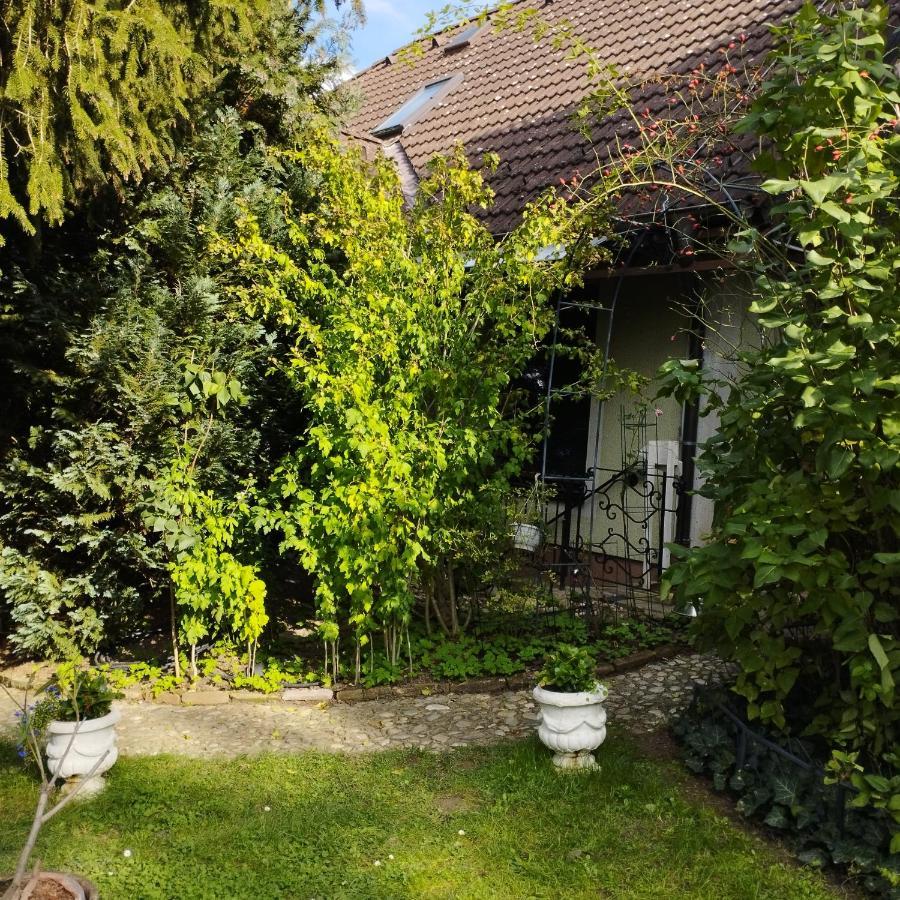 B&B Family Basement Apartment, Breakfast, Free Parking, 5Km From Tulln Chorherrn Экстерьер фото